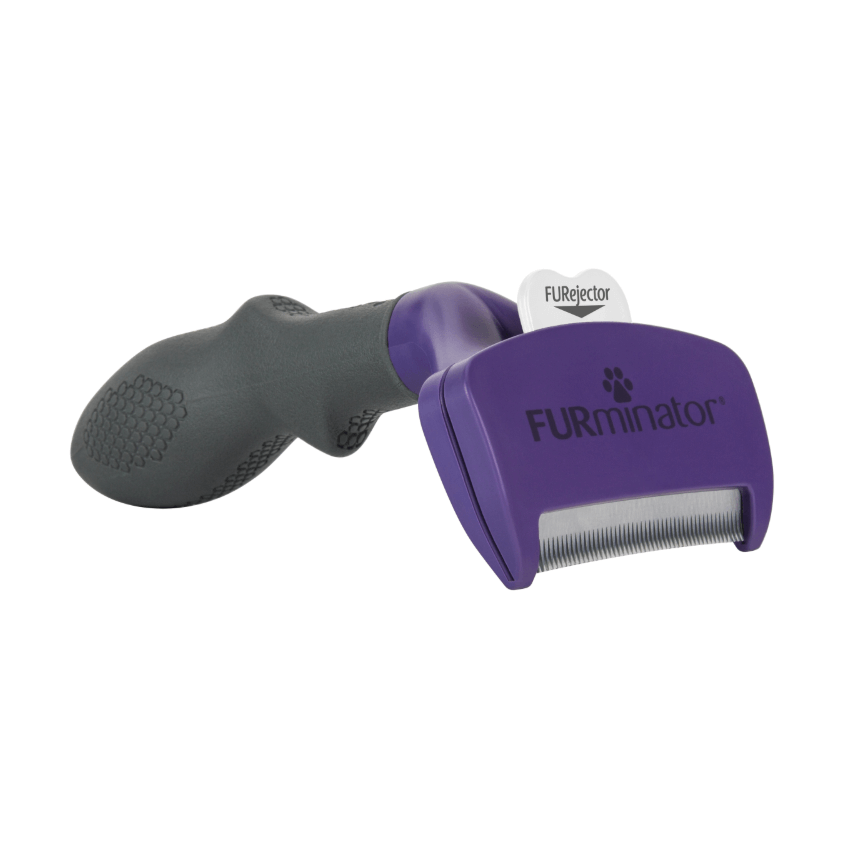 Furminator für große, kurze Katzen