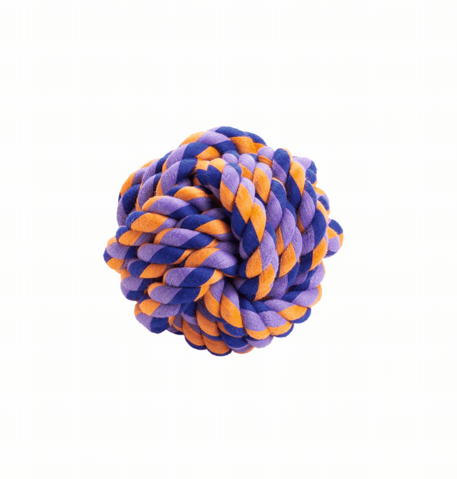 2025-05-10_04.00.30.png