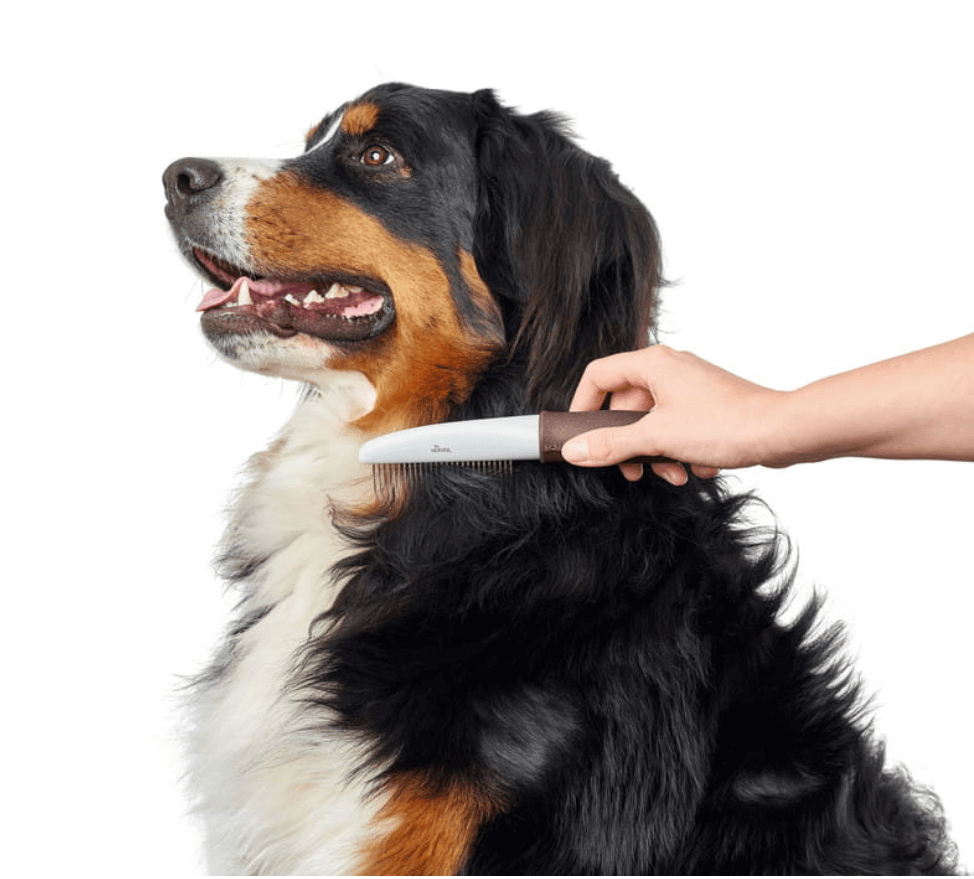 Jägerkamm mit Rotationszähne für einen Hund und eine Katze