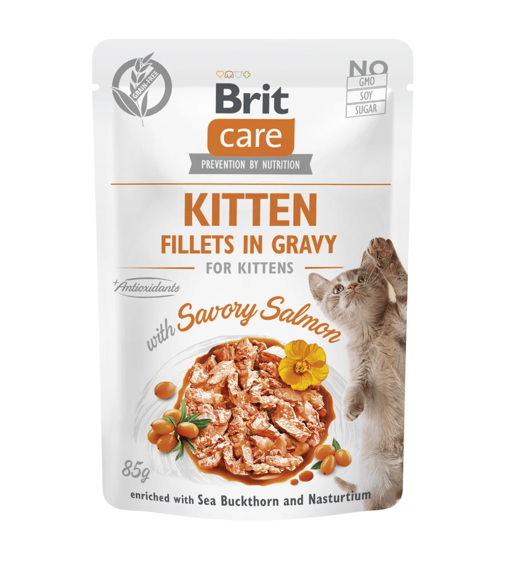 Brit Care Kitten Salmon 85G - Cibo senza ostruzioni bagnate