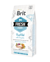 Brit Fresh Fish & Pumpkin - for large dogs and joints