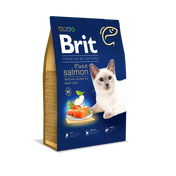 Salmón para adultos de gato británico: comida de salmón para gatos