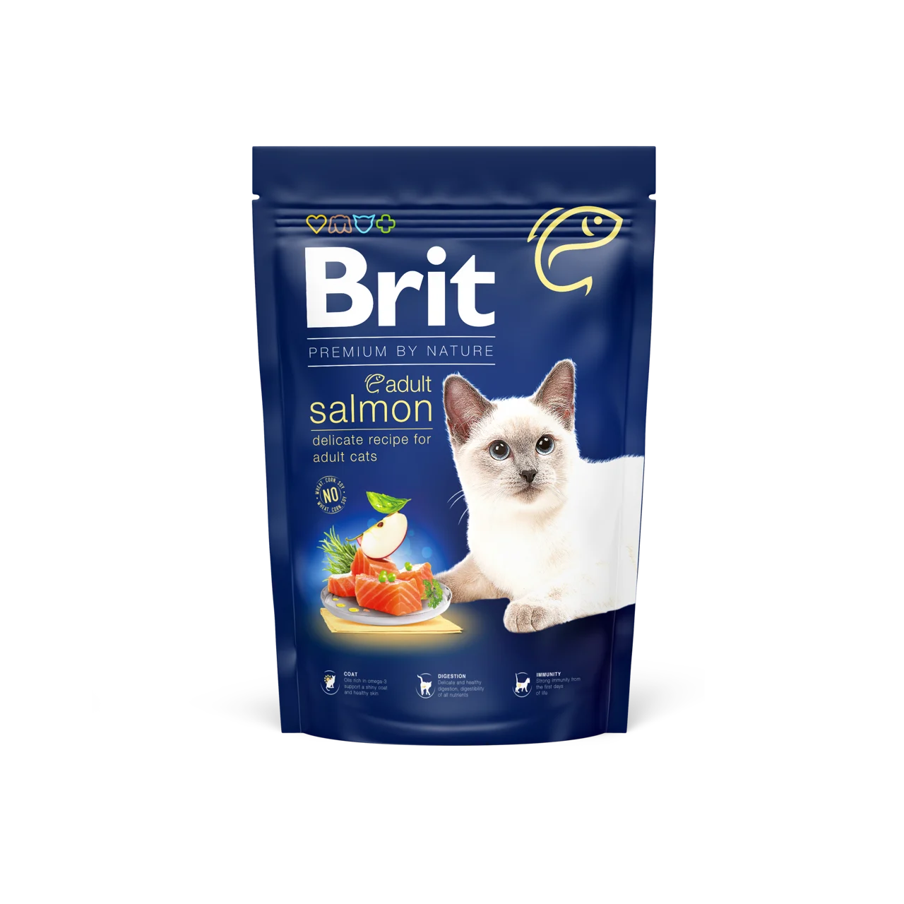 Salmón para adultos de gato británico: comida de salmón para gatos