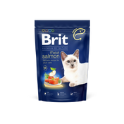 Salmón para adultos de gato británico: comida de salmón para gatos