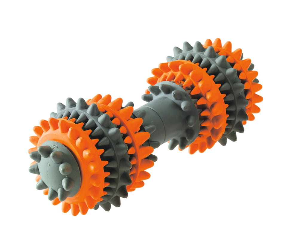 Nettoyer de dents de chasseur - Une dents de nettoyage d'os pour un chien