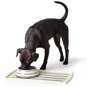 Hunter Melamine Bowl Silda White für einen Hund
