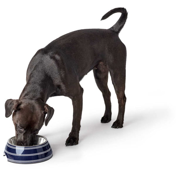 Hunter Melamine Bowl Silda Blue for Dog