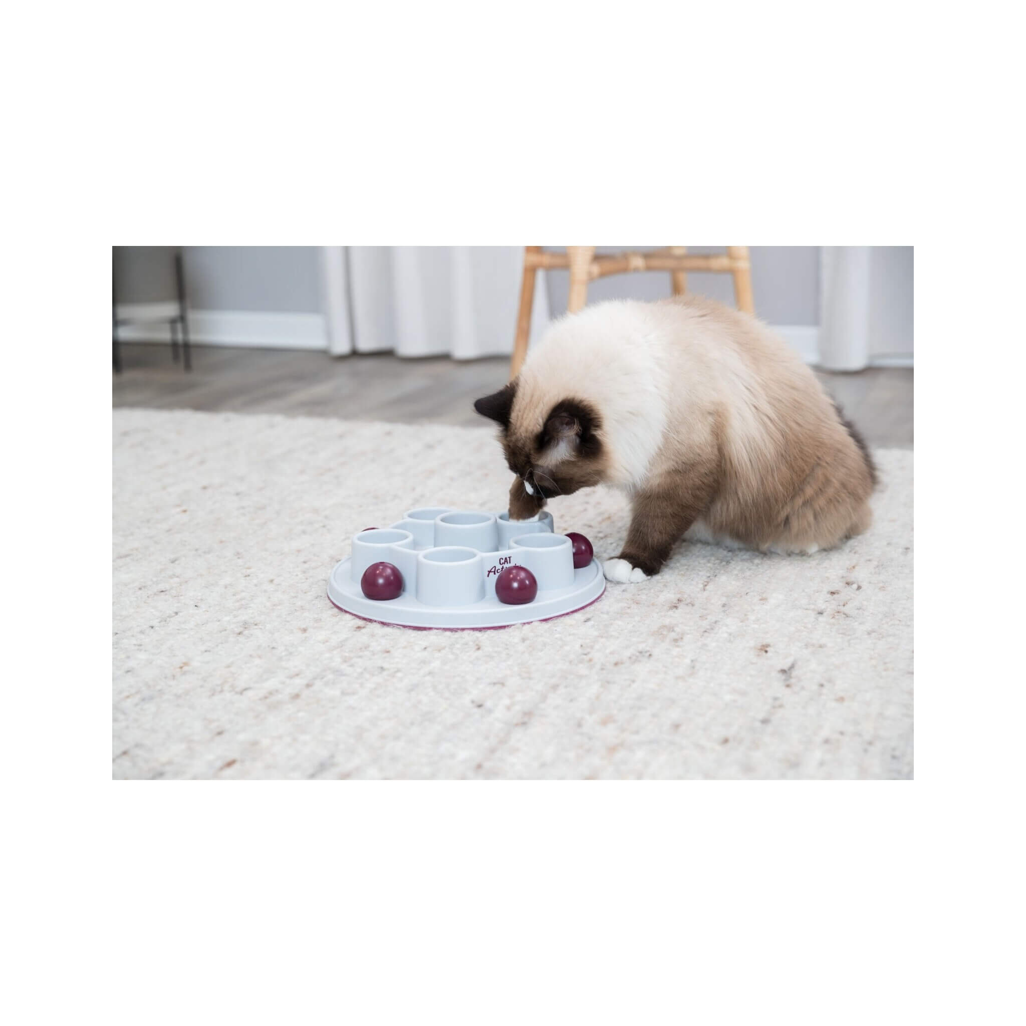 Cat Activity Digger - Un jouet interactif pour un chat éducatif