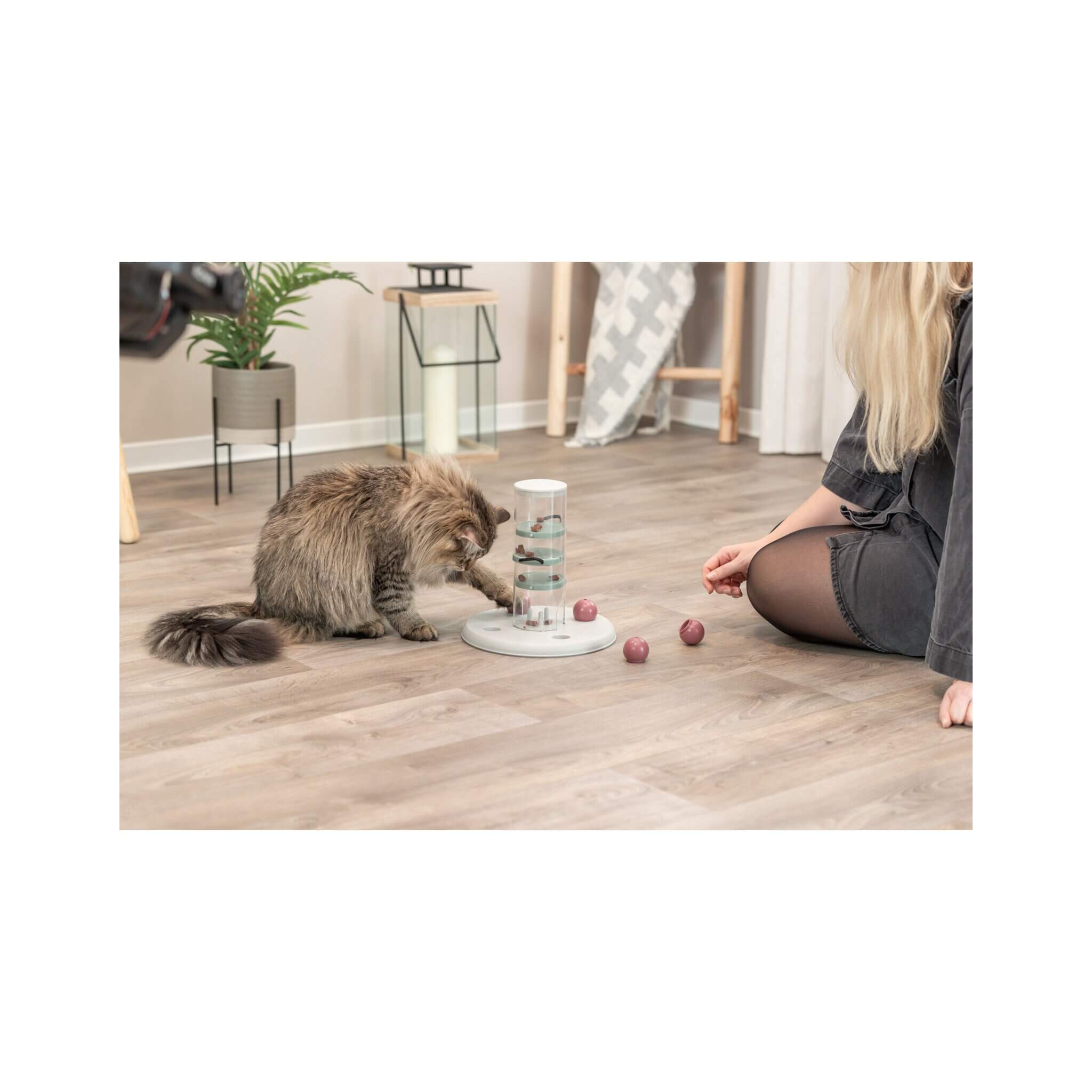 Tour de jeu d'activité de chat - Trixie Educational Toy