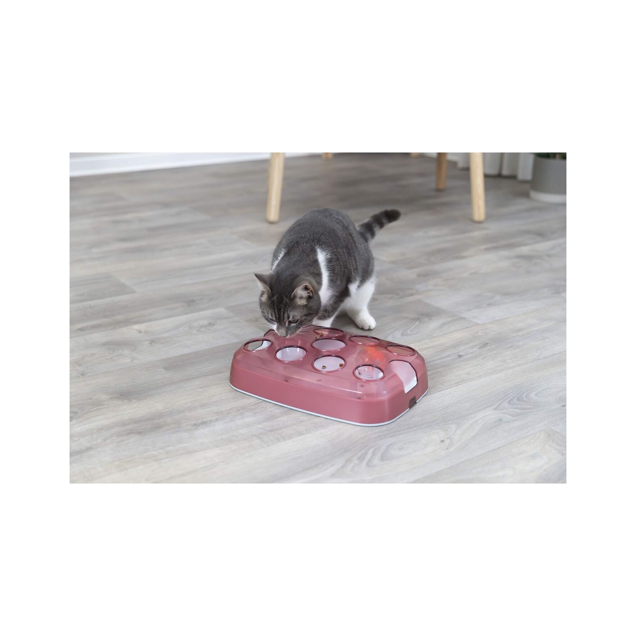 Cat Activity Soccer: un juguete interactivo para un gato