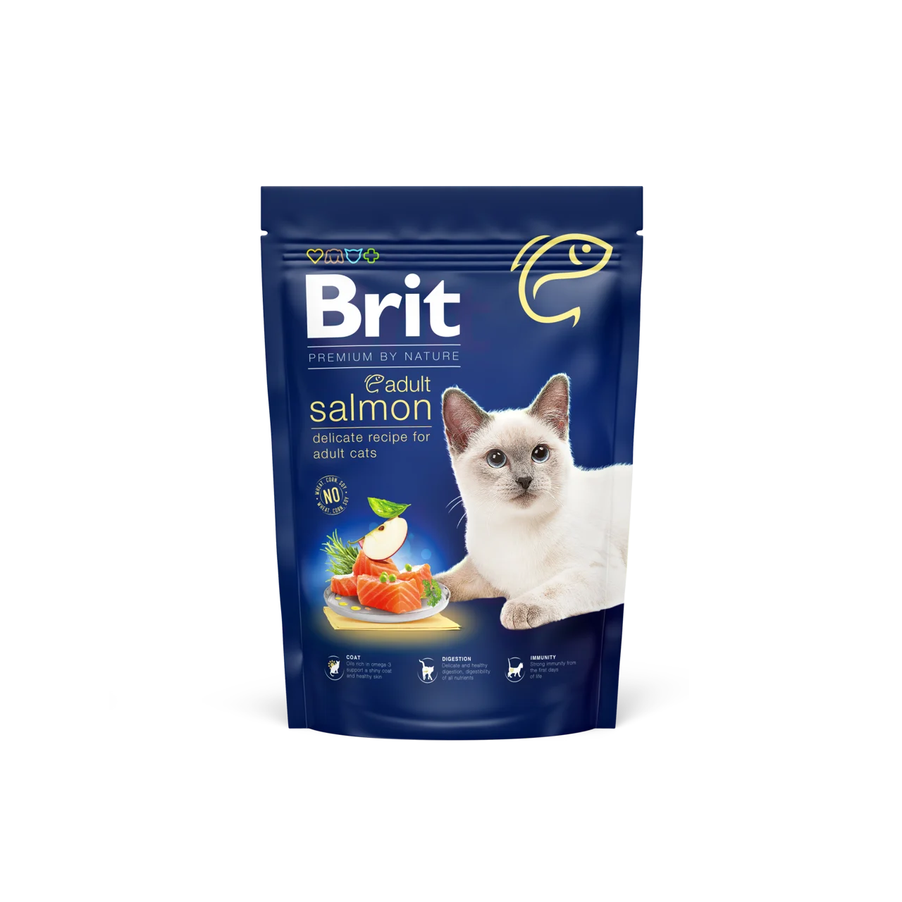 Salmón para adultos de gato británico: comida de salmón para gatos