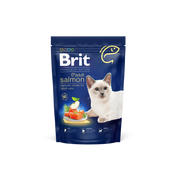 Salmón para adultos de gato británico: comida de salmón para gatos