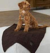 Coperta per cani "Chess" - Brown (100 × 80 cm)