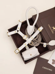 Ein luxuriöses Set von Hundezubehör - handgefertigt, Premium