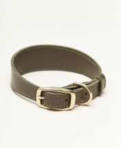 "Almond" dog collar - lightness, comfort and handcraft