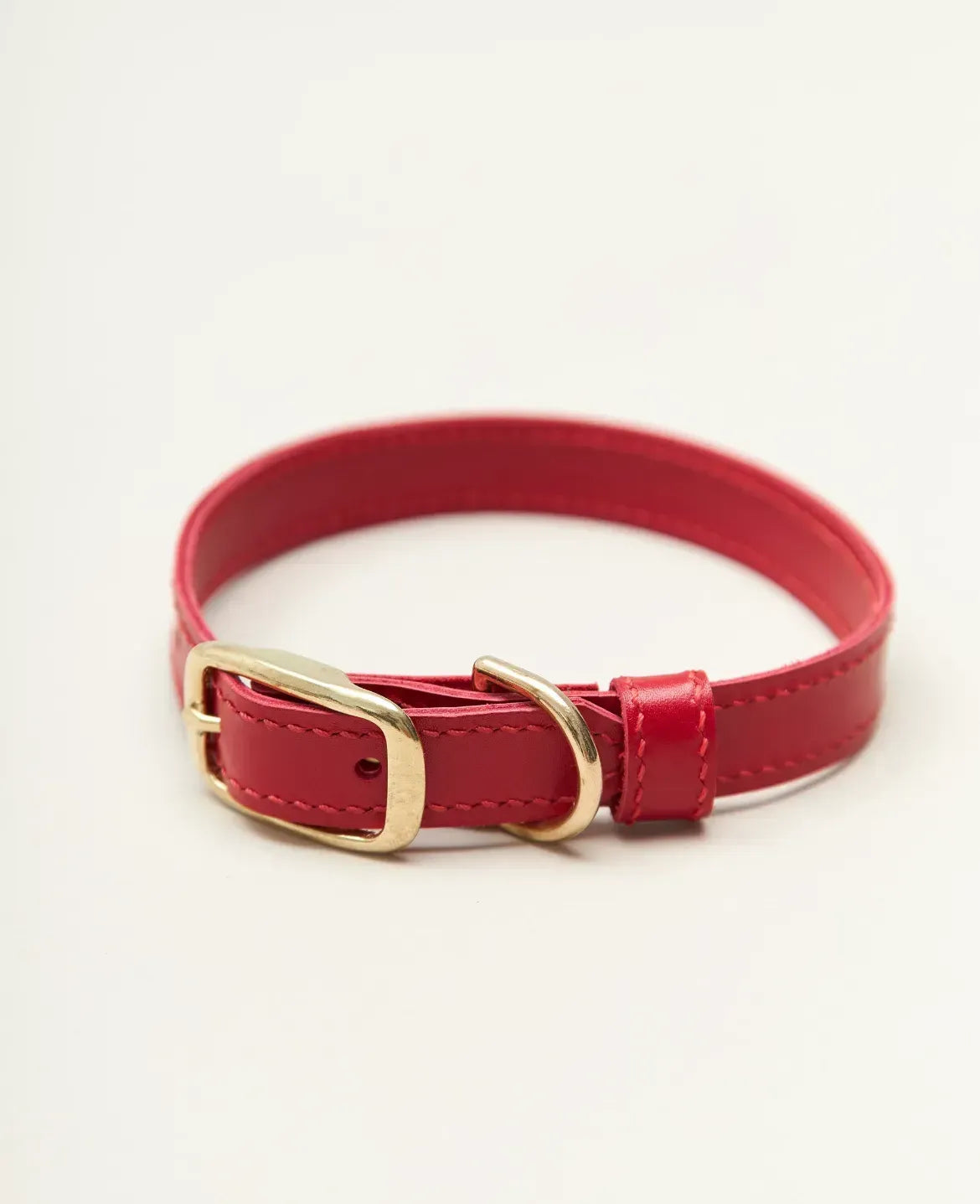 Collar de perros "elegante" - Elegancia en una edición minimalista
