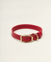 Collar de perros "elegante" - Elegancia en una edición minimalista