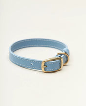 Collar de perros "elegante" - Elegancia en una edición minimalista