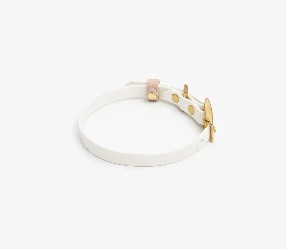 Collar de perro "biotano" en blanco con polvo