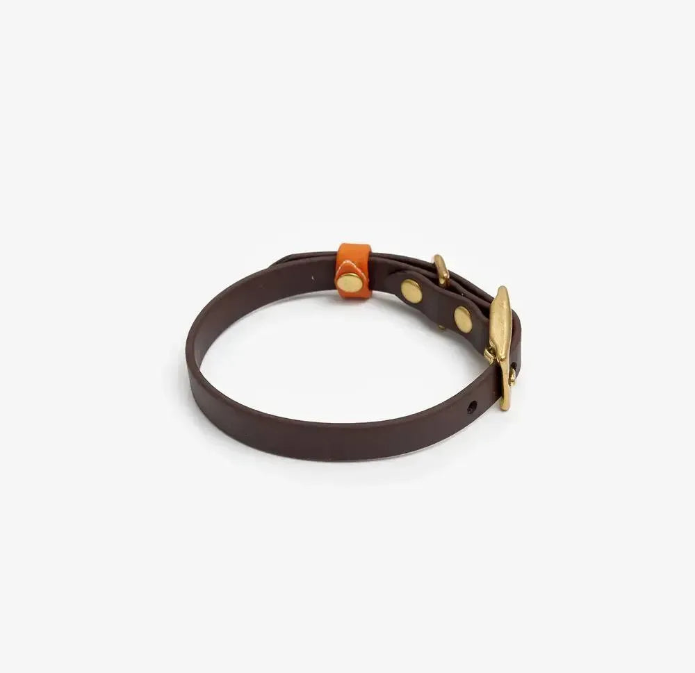 Collar de perro "biotano" en marrón oscuro con naranja