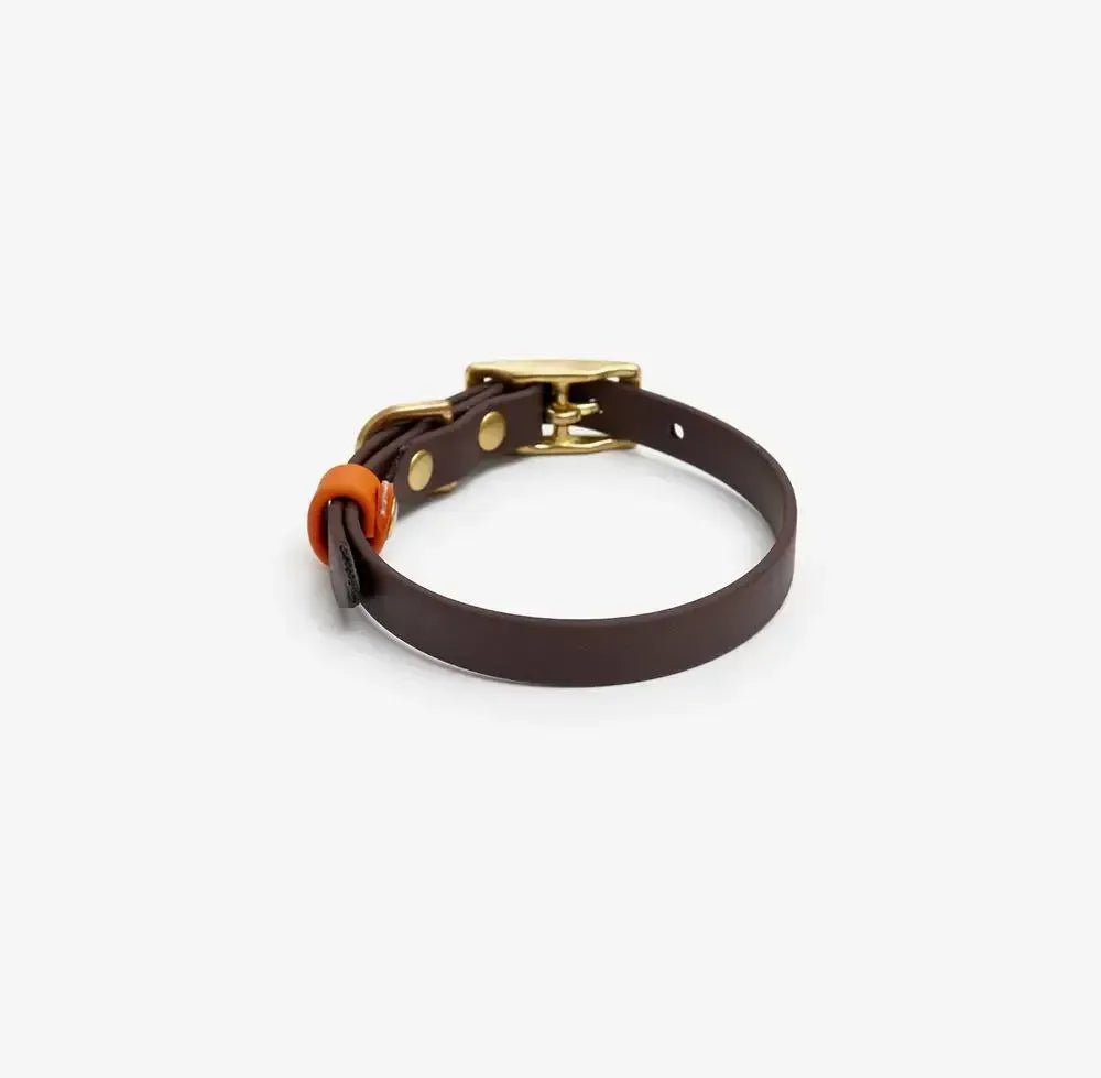 Collar de perro "biotano" en marrón oscuro con naranja