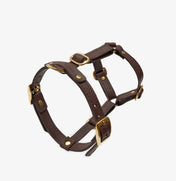 Luxurious Caviar Brazes - Hechsmade of Italian Leather, Premium