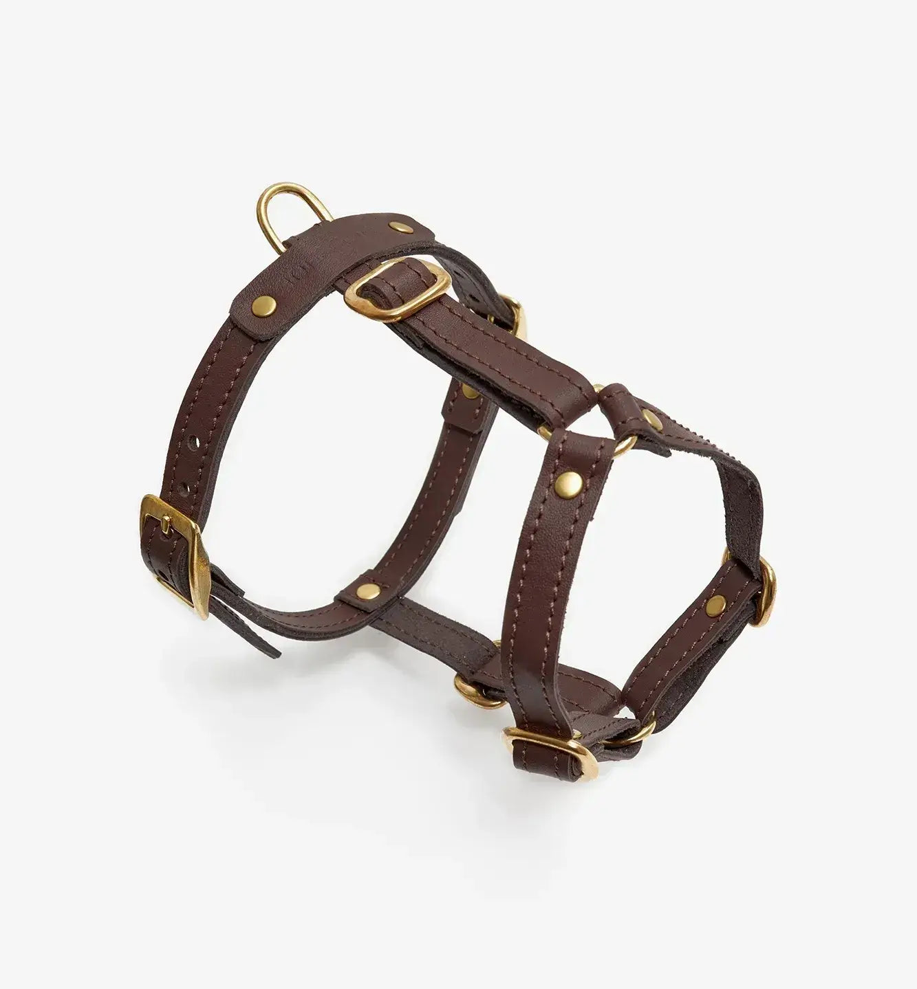 Luxurious Caviar Brazes - Hechsmade of Italian Leather, Premium