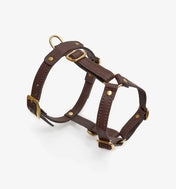 Luxurious Caviar Brazes - Hechsmade of Italian Leather, Premium