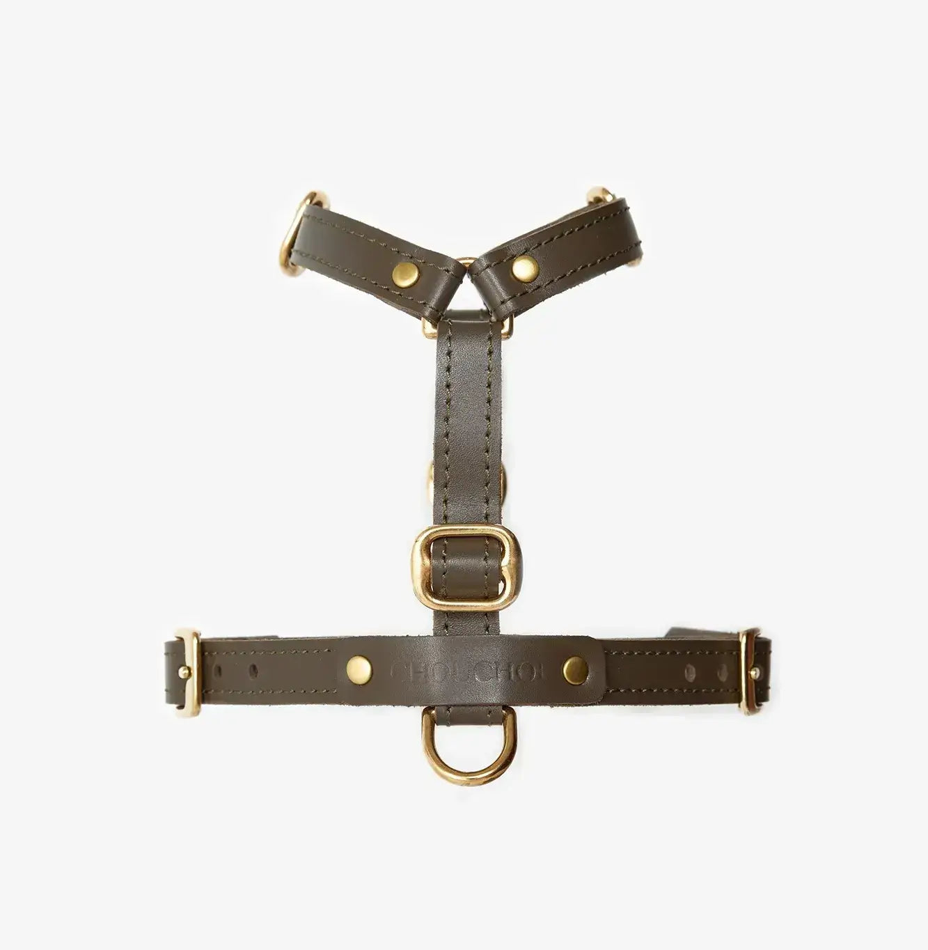 Braces de chien de luxe classe - artisanale de cuir italien, premium