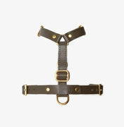 Braces de chien de luxe classe - artisanale de cuir italien, premium