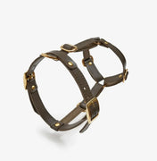 Braces de chien de luxe classe - artisanale de cuir italien, premium