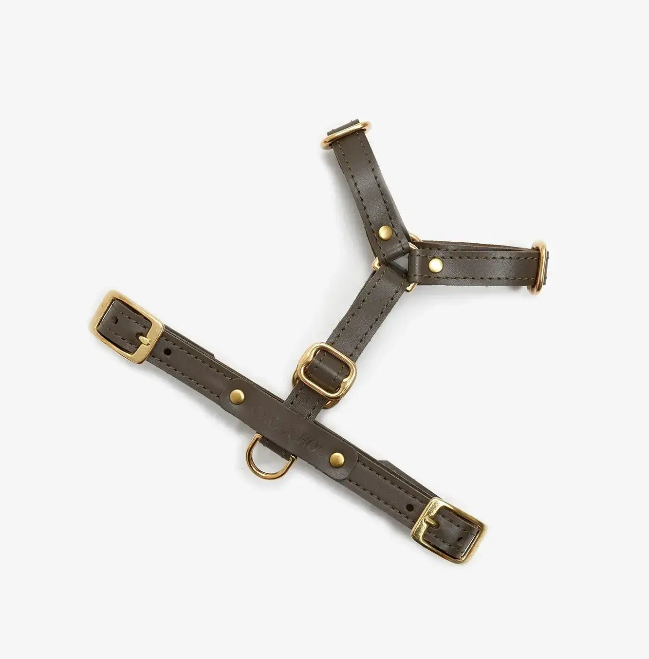 Braces de chien de luxe classe - artisanale de cuir italien, premium