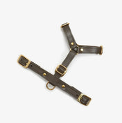 Braces de chien de luxe classe - artisanale de cuir italien, premium