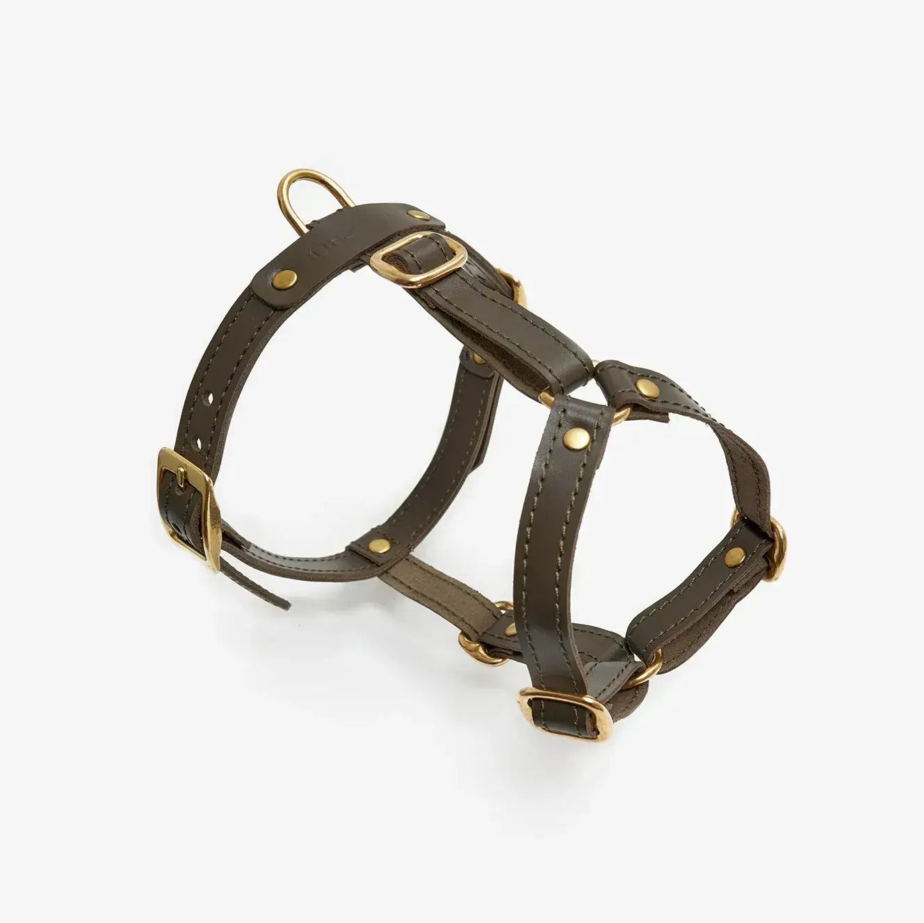 Braces de chien de luxe classe - artisanale de cuir italien, premium