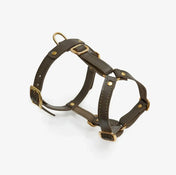 Braces de chien de luxe classe - artisanale de cuir italien, premium
