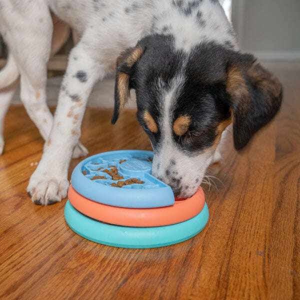 Nina Ottosson Puppy Lickin' Layers - Dog Puzzle Game