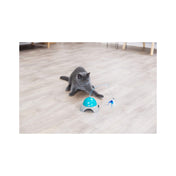 Catch Me Cat Toy with Remote Control, Remote Control