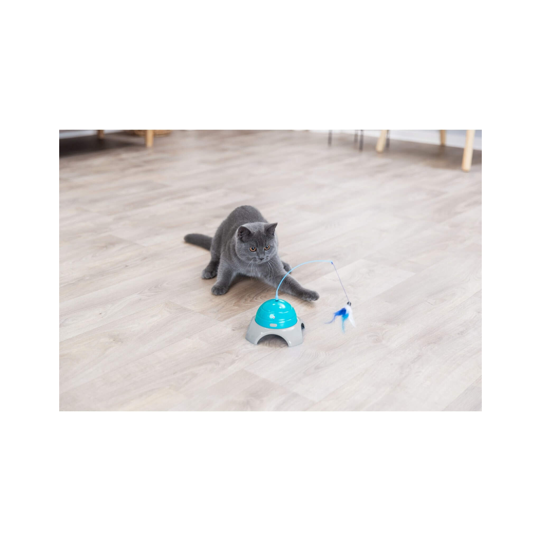 Catch Me Cat Toy with Remote Control, Remote Control